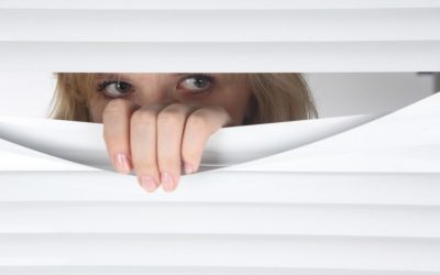 Despertar la curiosidad