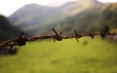 Cuando las barreras están en tu mente