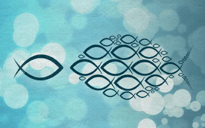 ¿Quieres triunfar? Vive como un salmón