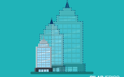 La metáfora del bambú: no te confundas con tus objetivos a corto plazo