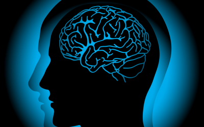 La dieta mental para tener un cerebro sano