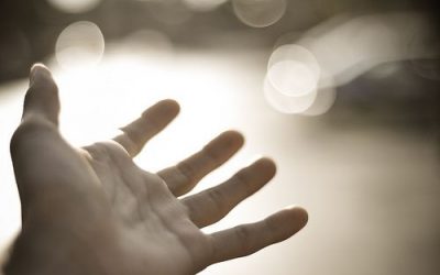 La gestión de nuestro ego